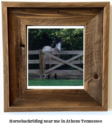 horseback riding near me in Athens, Tennessee